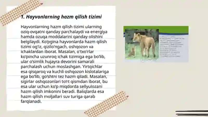 Hayvonlarning hazm qilish organlari 3