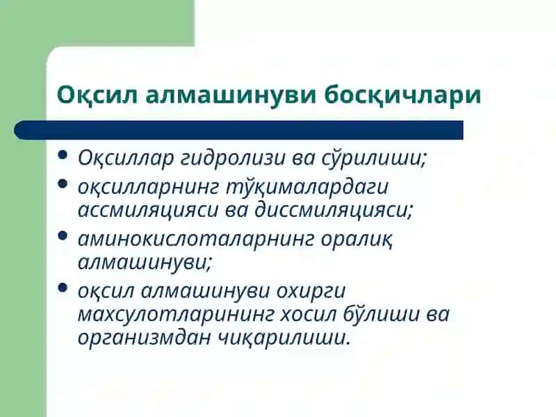 Оқсил алмашинуви 3