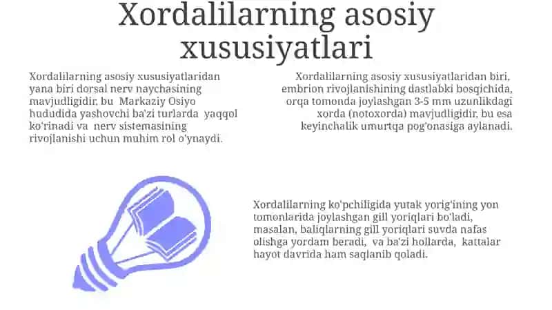 Umurtqasiz Xordalilarning Xillari va Xususiyatlari 3