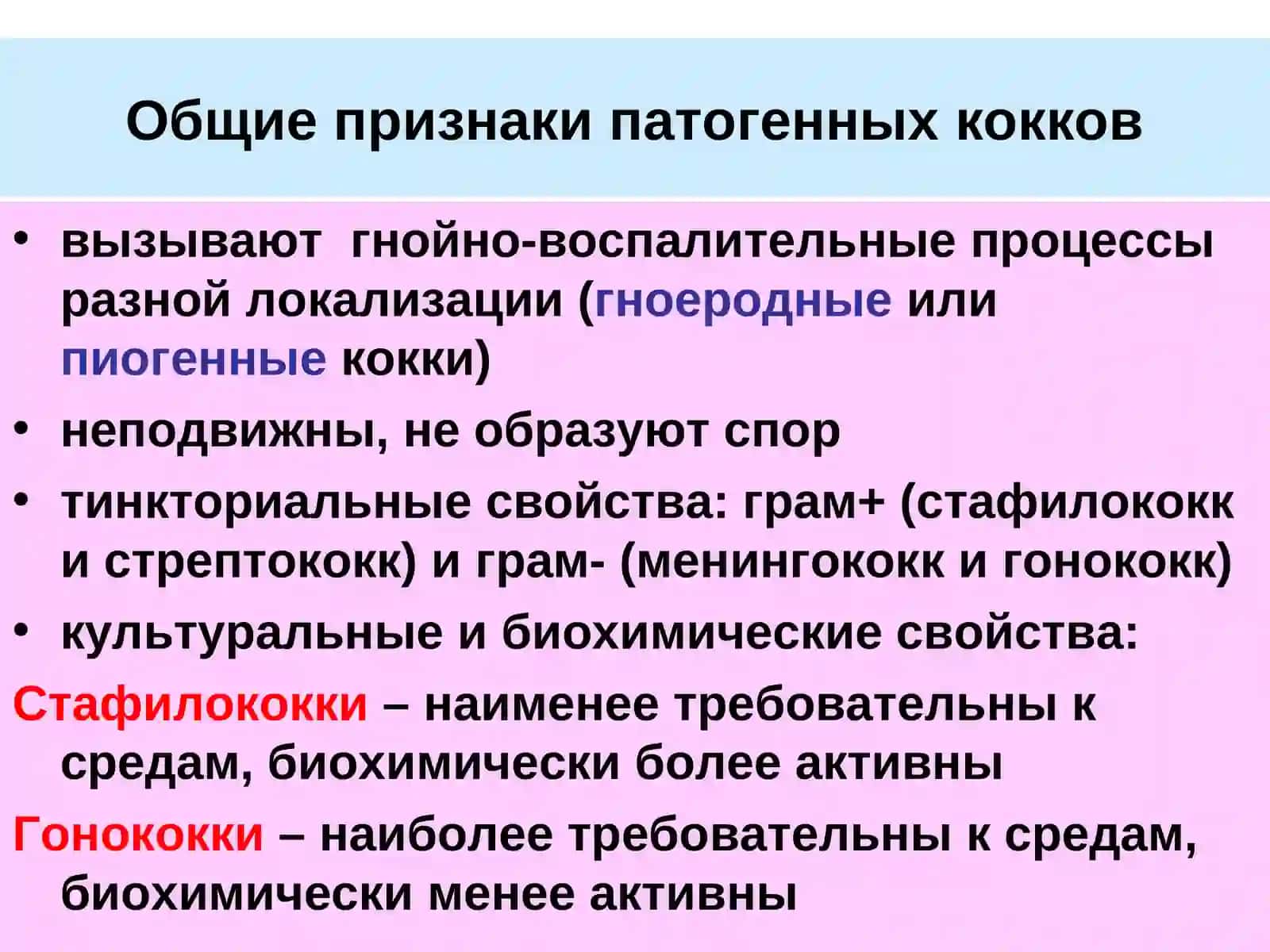 Возбудители гнойно-воспалительных заболеванийПатогенные кокки 3