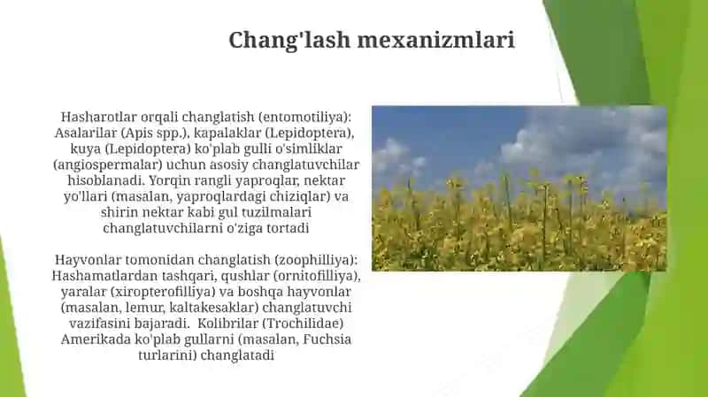 Oʻsimliklarning gullashi va changlanishi 3