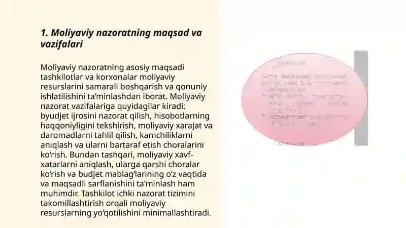 Moliyaviy nazoratni tashkil etish 3