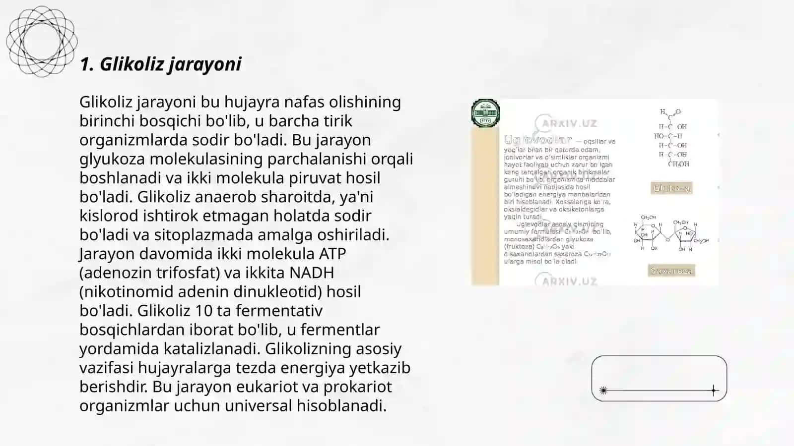 Katabolizmning umumiy yo'llari. Uglevodlar almashinuvi 3