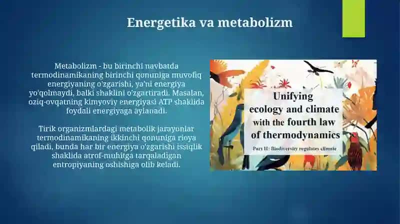 Energetika va Metabolizm 3