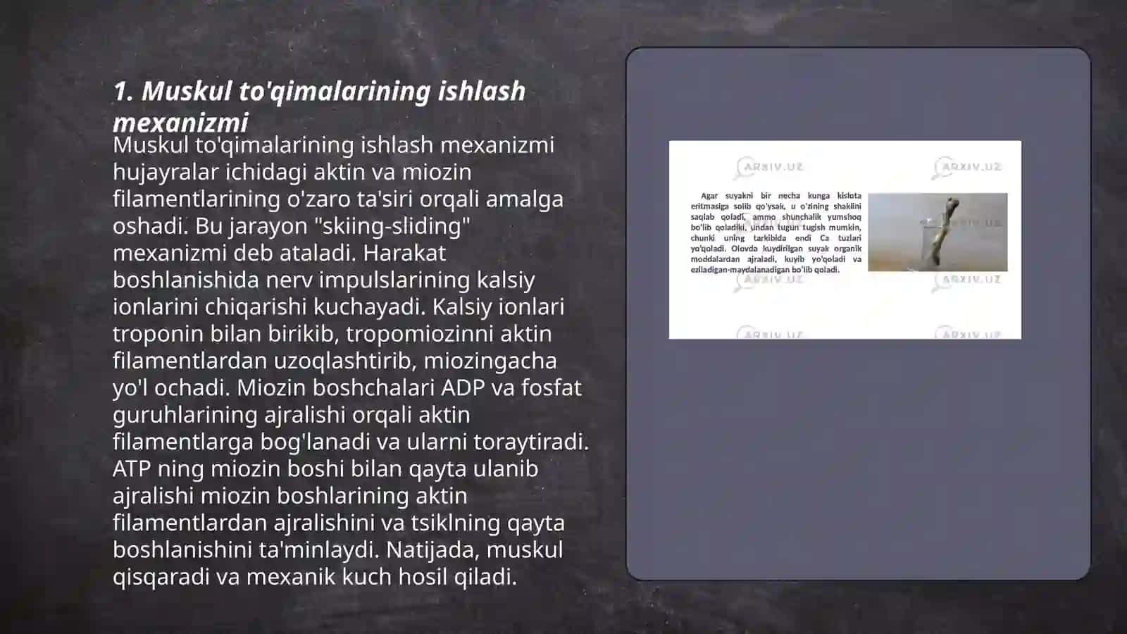 Muskullarning yosh hususiyatlari va gigiyenasi 3