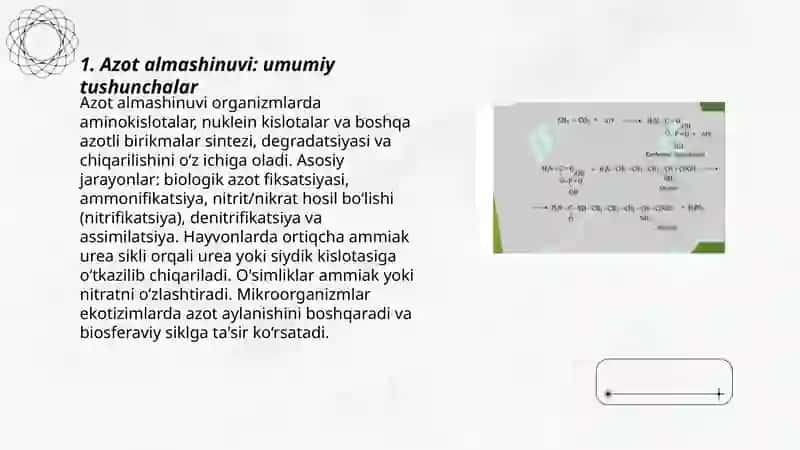 Azot almashinuvi 3