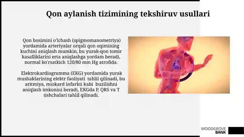 Qon aylanish sistemasi 3