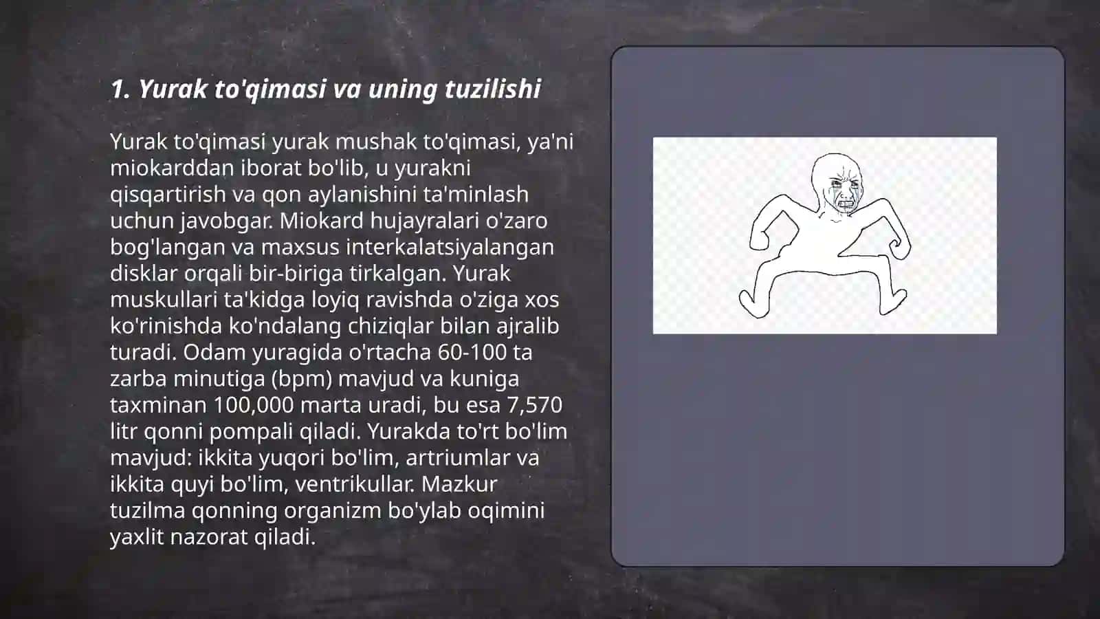 Yurak toʻqimasi yurakning elektr oʻtkazuv sistemasi hamda qavatlari 3