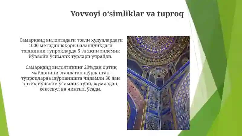 Samarqand viloyati tuproqlari 3
