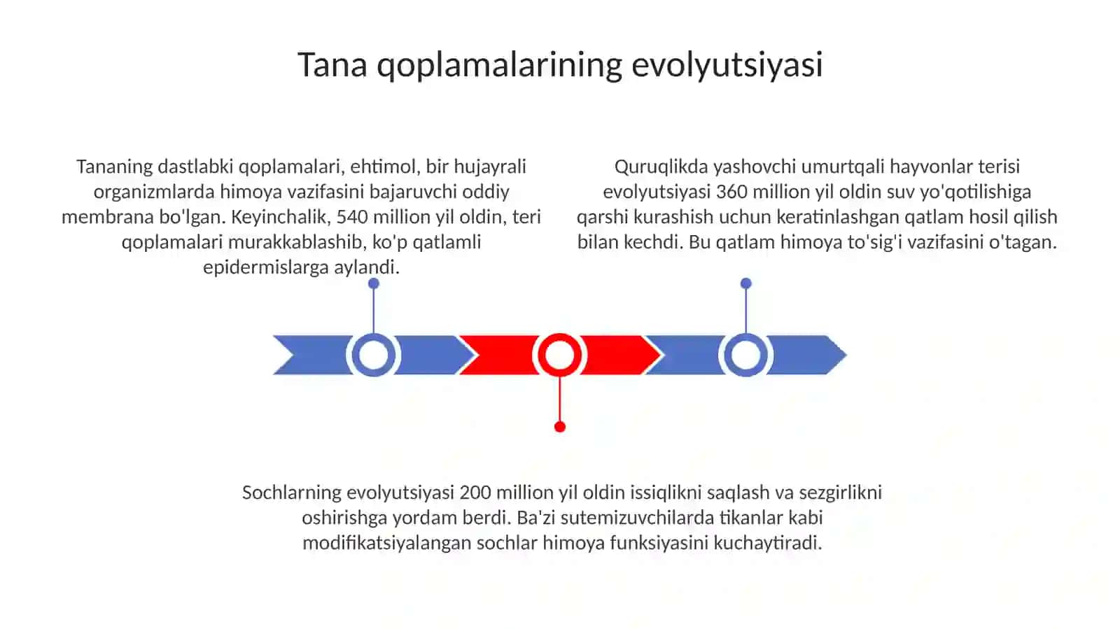 Hayvonlarning tana qoplami va harakat organlari evolutsiyasi 3