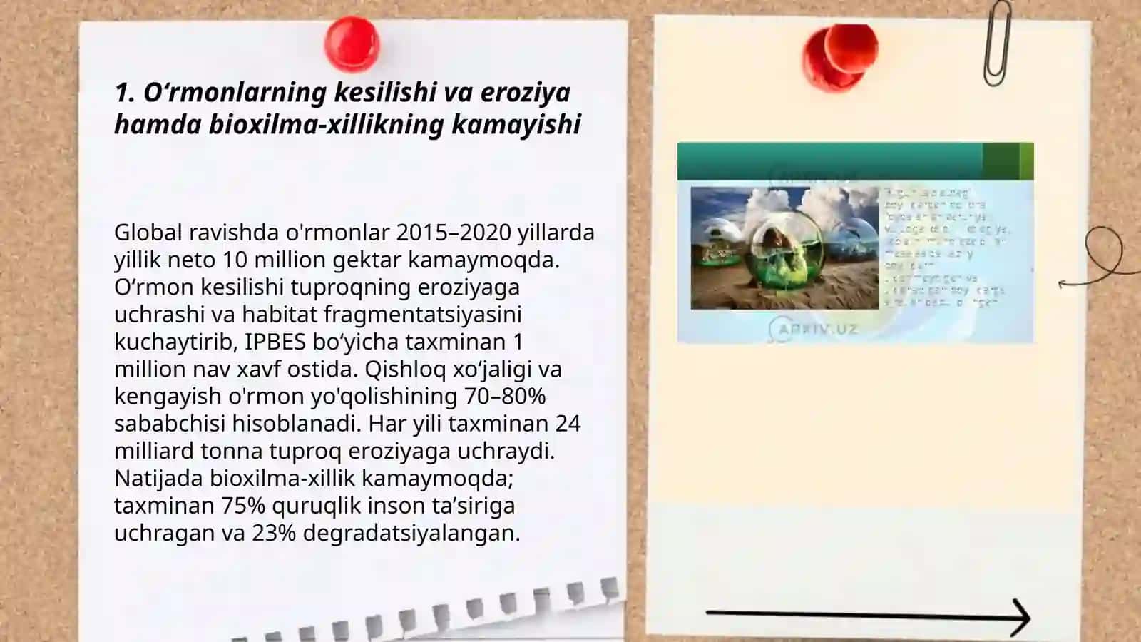 Inson faoliyati va tabiatga ta'siri va tabiatni javobi 3