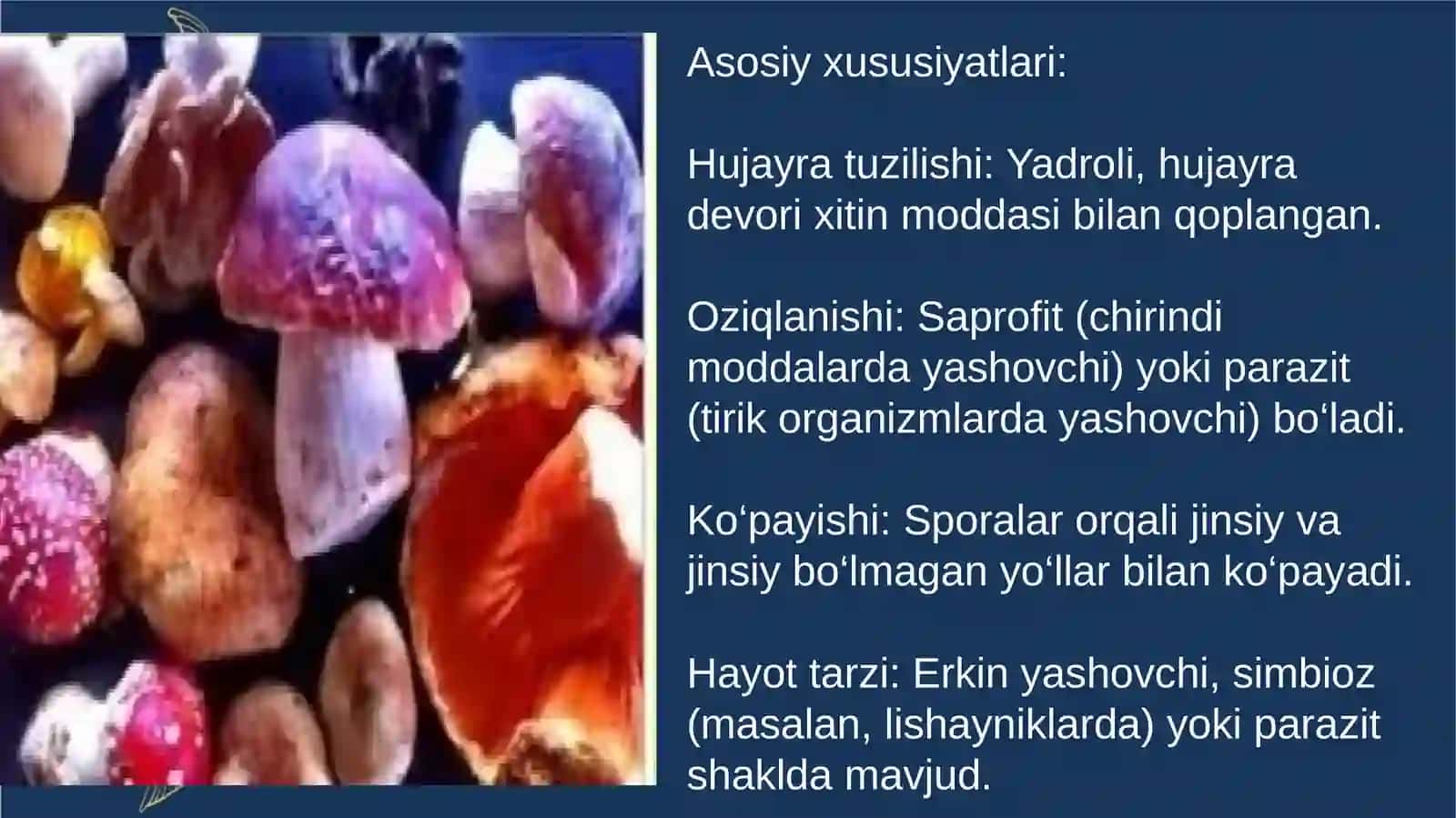 Zamburug‘larning sanoat va qishloq hujaligidagi ahamiyati 3