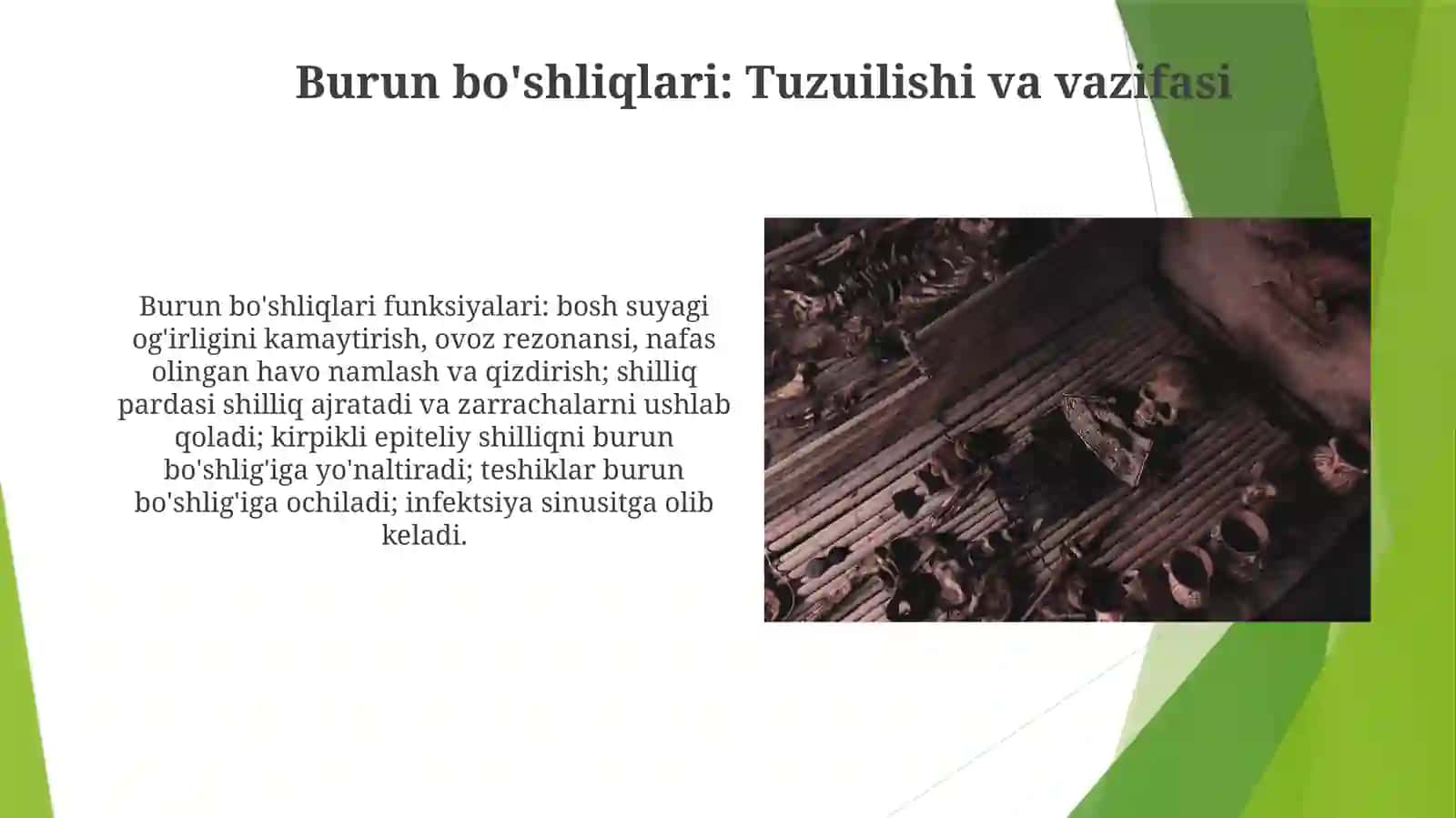 Kallasuyaklariasosi.Boʻshliqlar.Chuqurlar.Kanallar 3