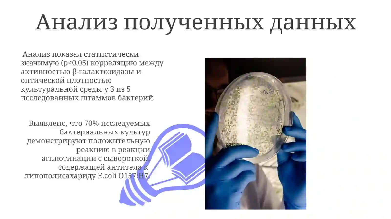 Изучение биохимических свойств бактерий в питательных средах 3