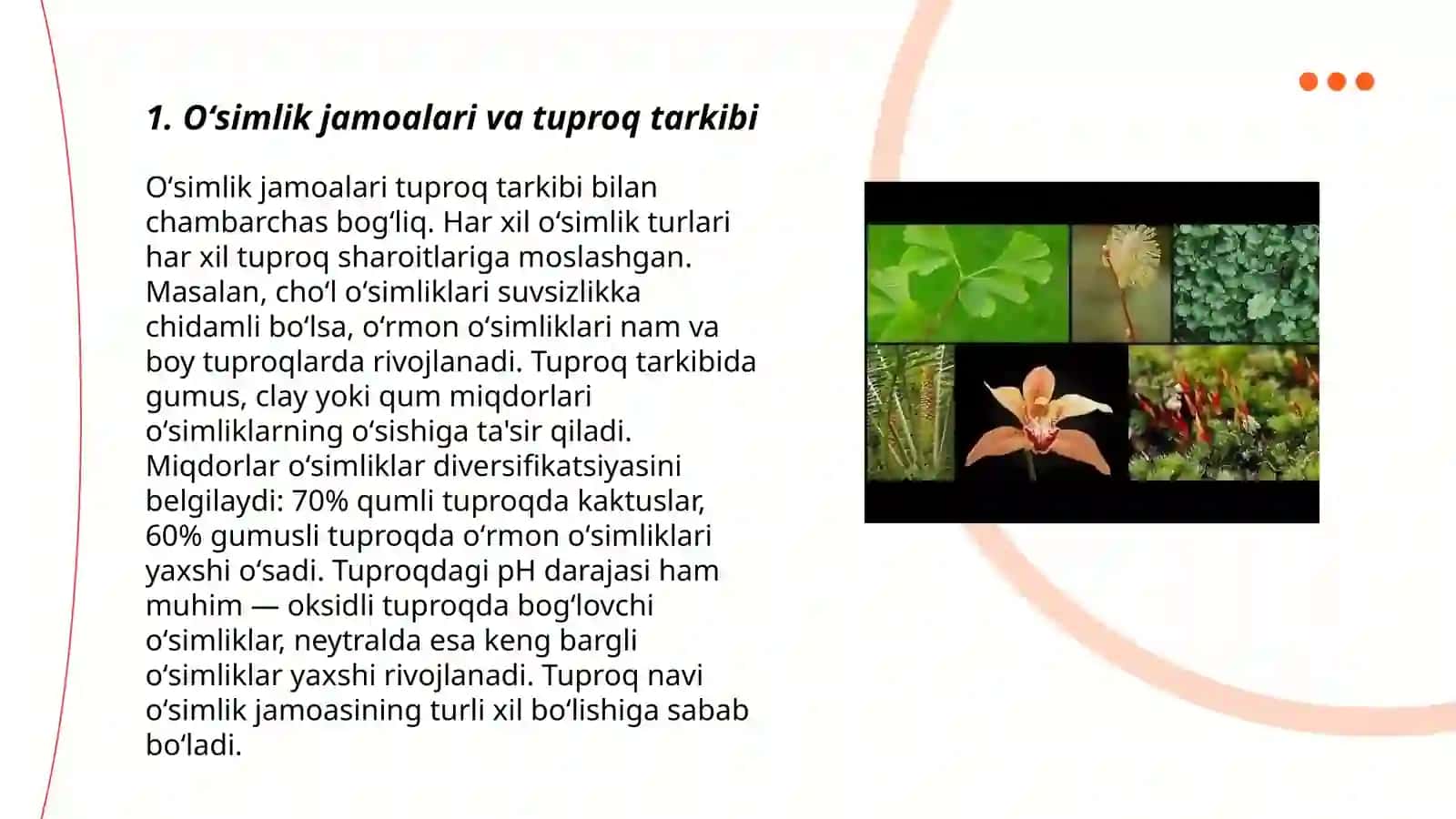 Oʻsimlik jamoalari va tuproq tarkibi 3