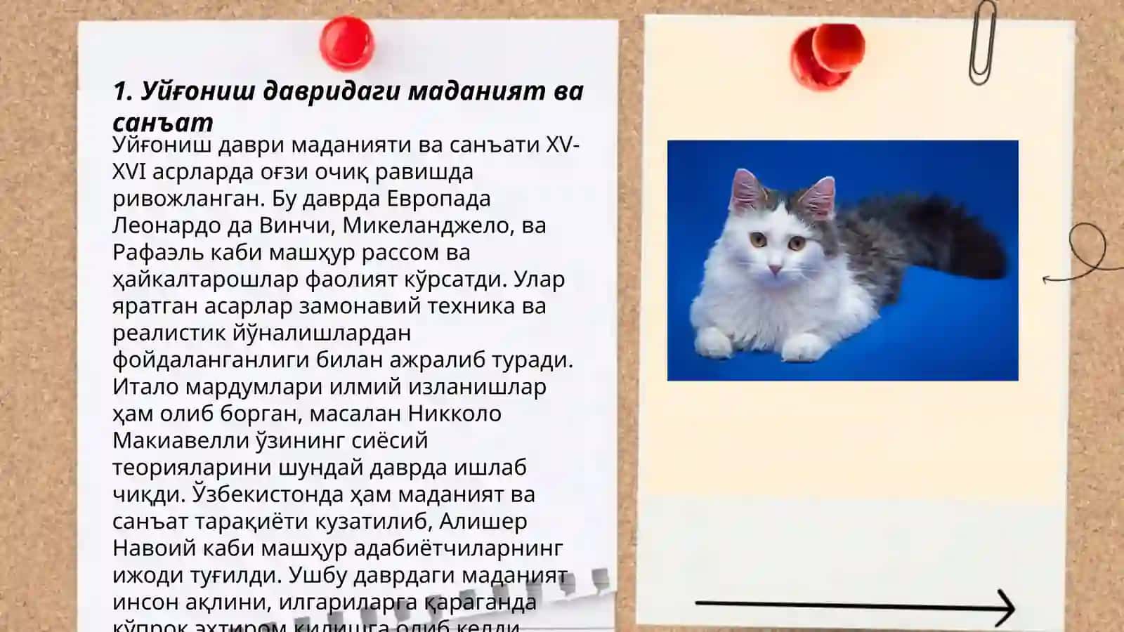 9 12 асрларда уйгониш даври ёки (Ренессанс) 3