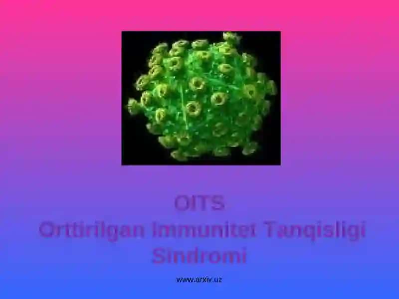 Spid va Oits 3
