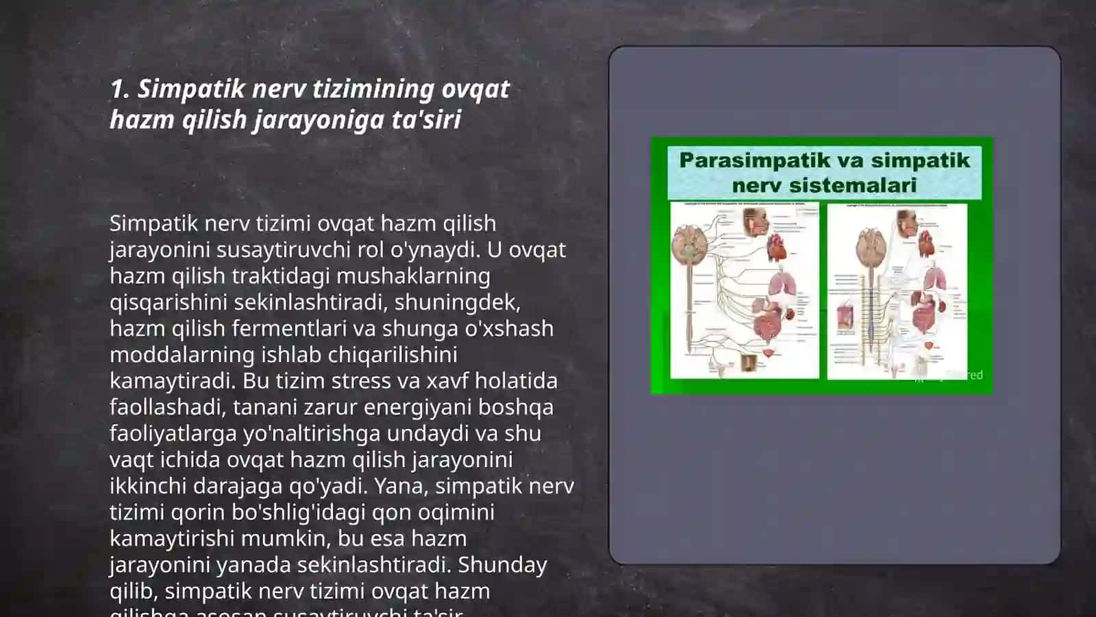 Simpatik va parasimpatik nerv tizimlarning ovqat hazm qilish yo'llariga ta'siri 3
