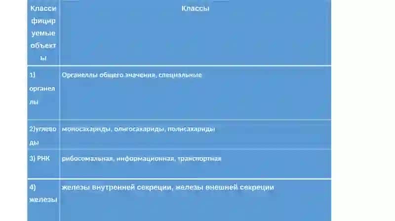 Система органов дыхания 3