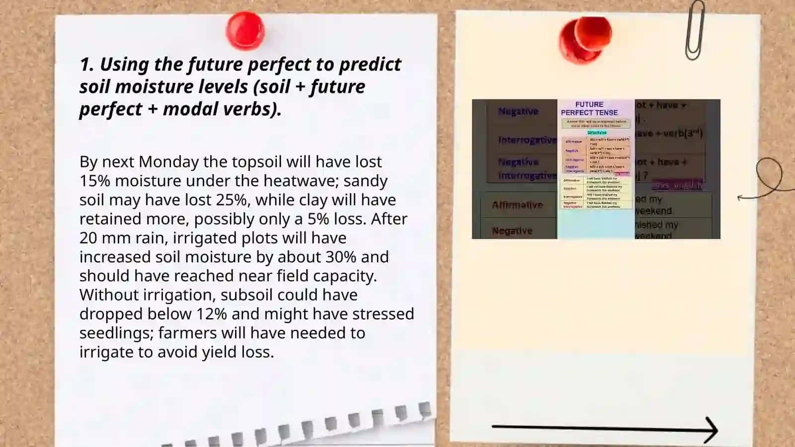 Modal verbs. Future Perfect Tence 3