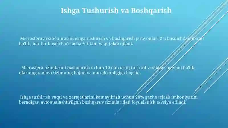 Mikroferma Arxitekturasining Kamchiliklari 3