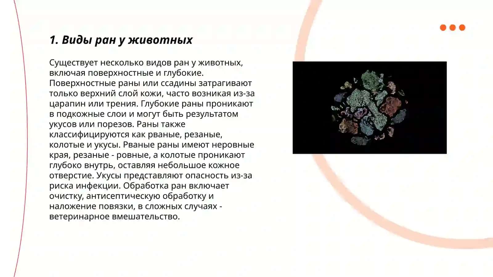 Первичная обработка ран ( в хирургии животных) 3
