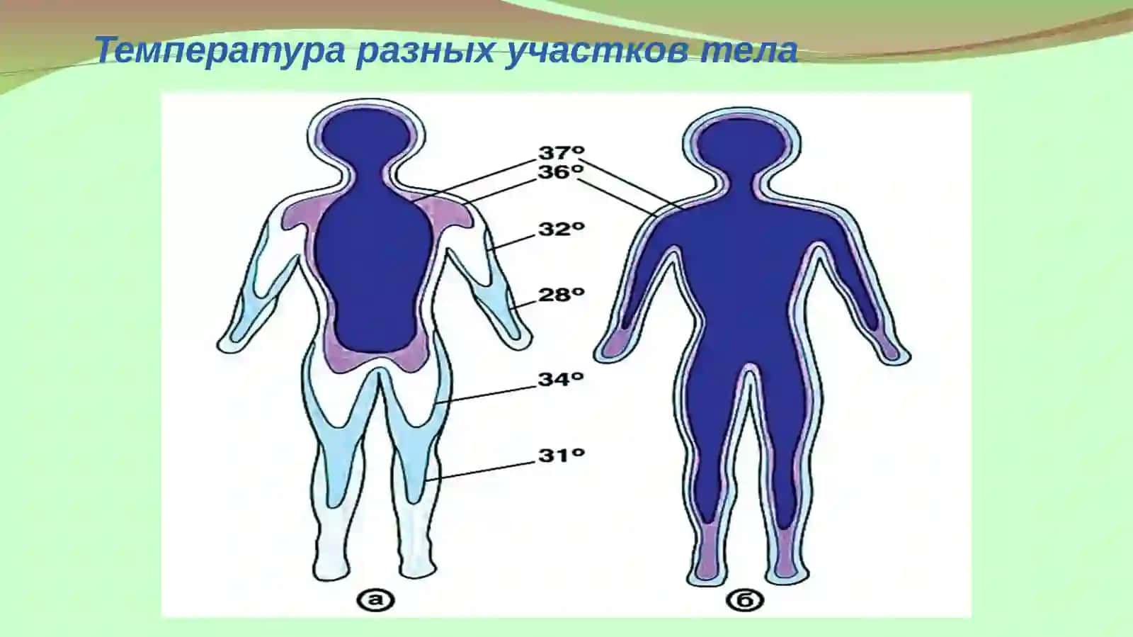 Термометрия 3