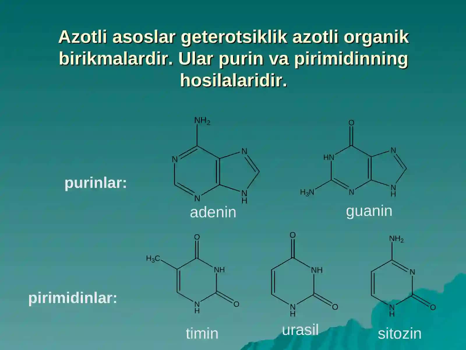 Nukleotidlar almashinuvi 3