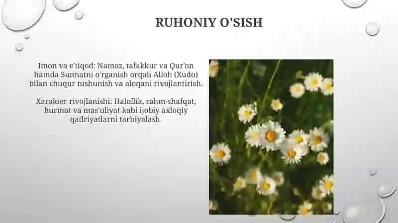 Tilshunoslik maktablari ta'limotlarining asosiy mohiyati 3