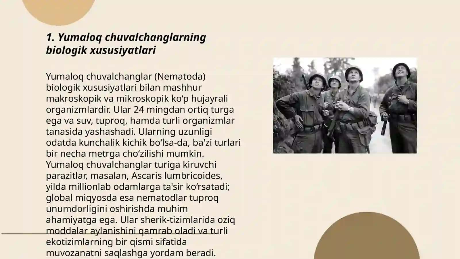 Yumaloq chuvalchanglar odam parazitlari:askarida, ostritsa, filyariyalar, vuxereriya 3