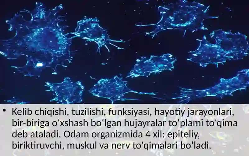 Abu Ali Ibn Sino nomidagi jamoatsalomatligi texnikumining guruhi talabasi 3