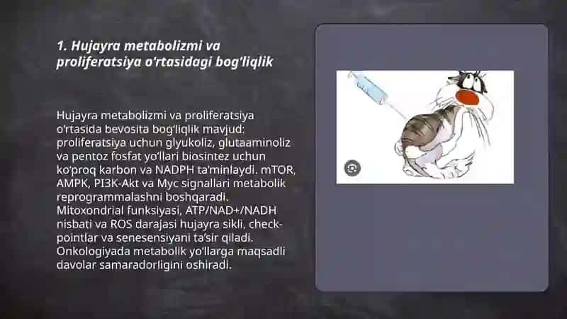 Hujayrada modda energiya va malumot oqimi hujayra prolifiratsiyasi muammolarining tibbiyotdagi roli 3