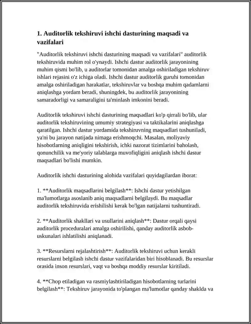 AUDITORLIK TEKSHIRUVI ISHCHI DASTURI 3