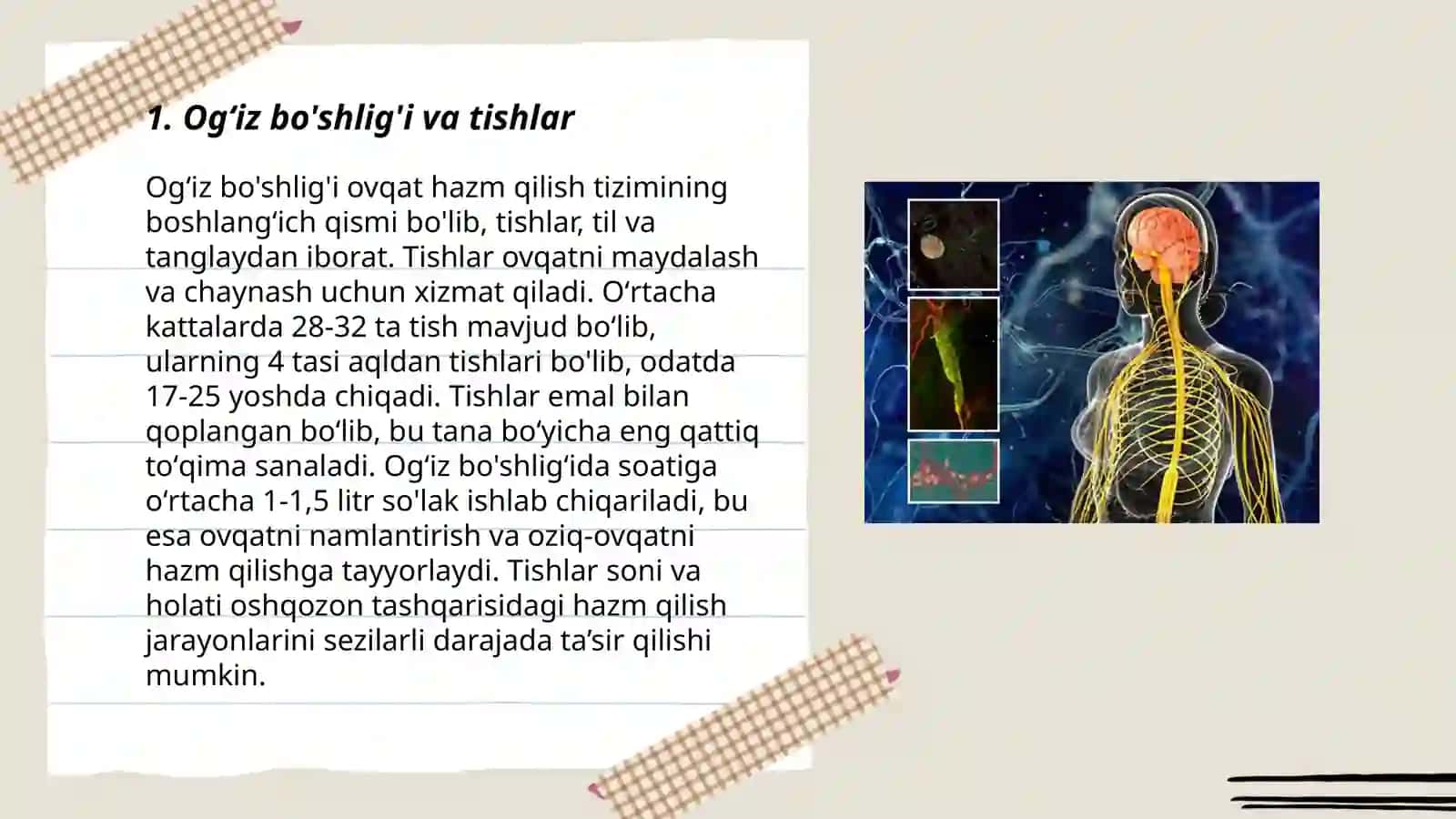 Odam ovqat hazm qilish sistemasi 3