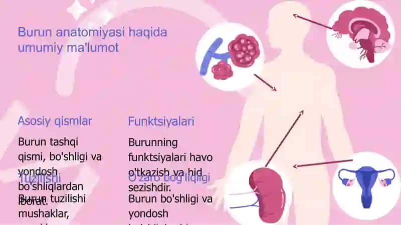 Burun va burun yondosh boʻshliqlarini endoskopik tekshirish 3