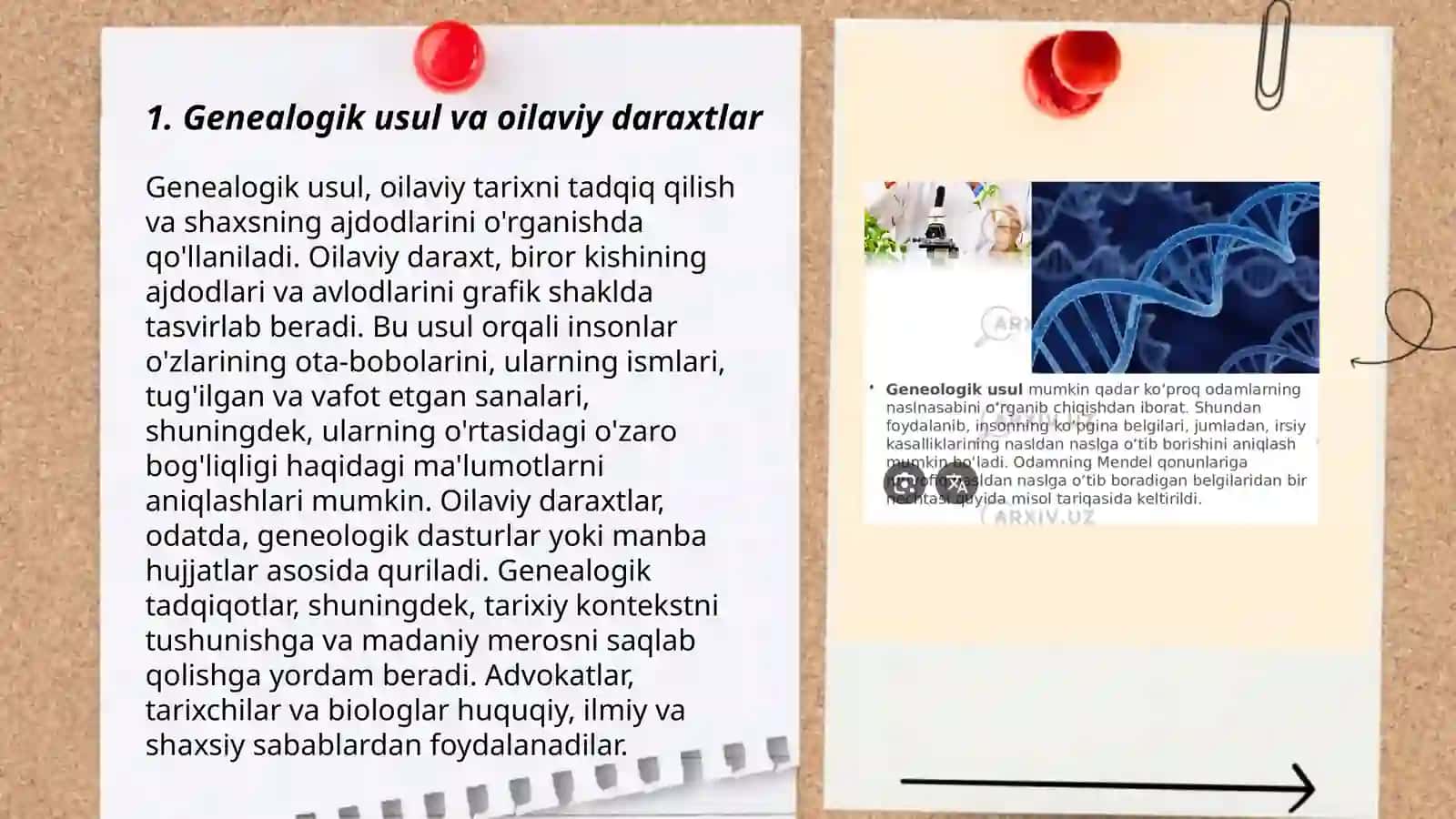 Odam genetikasining oʻrganish usullari: geneologik, populyatsion statistik va egizaklar usuli 3