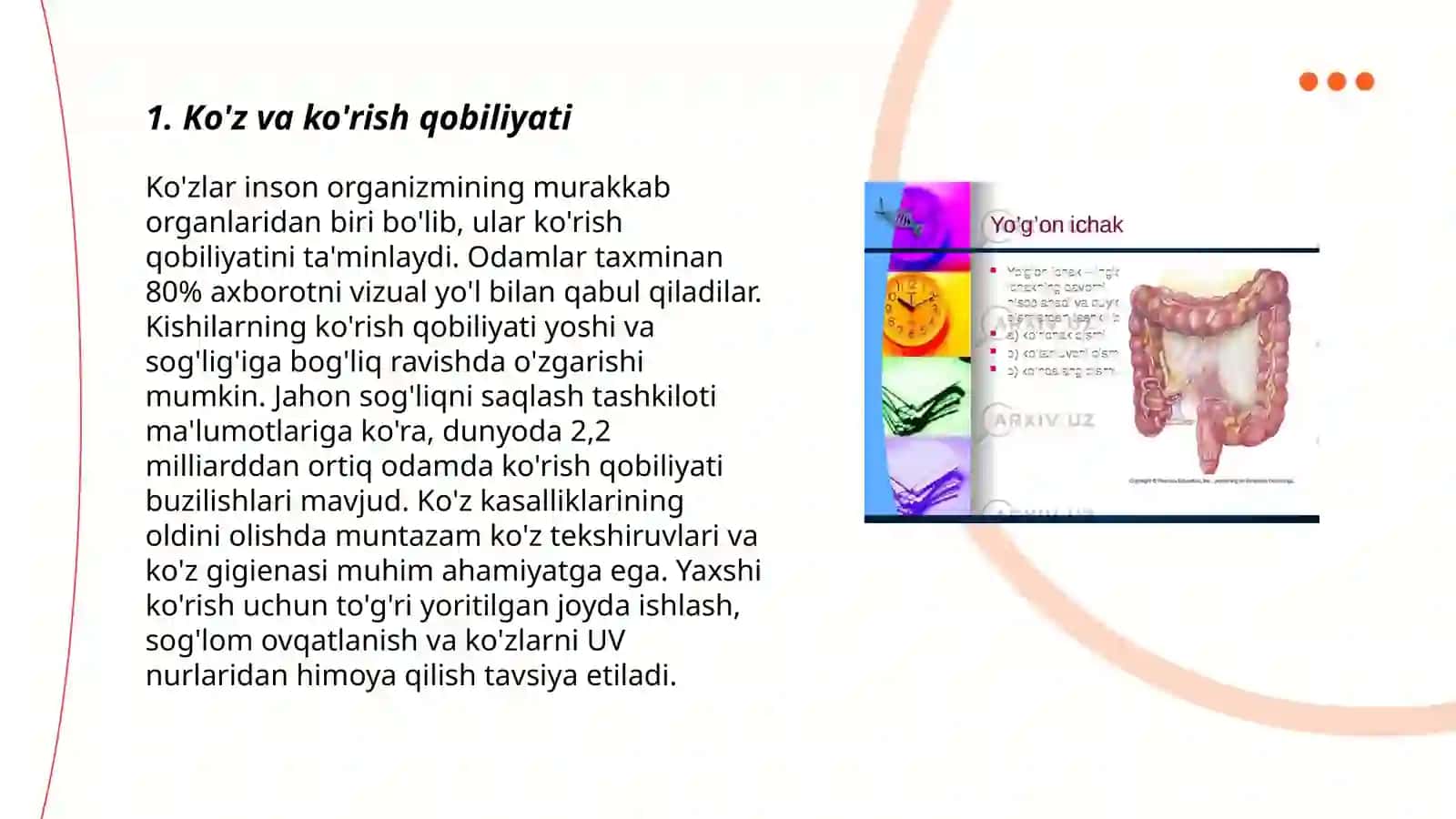 Sezgi a‘zolari 3