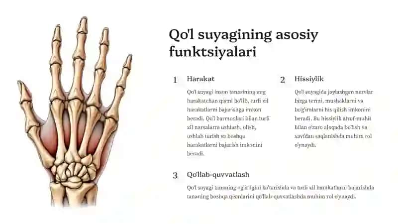 Qo'lsuyagi 3