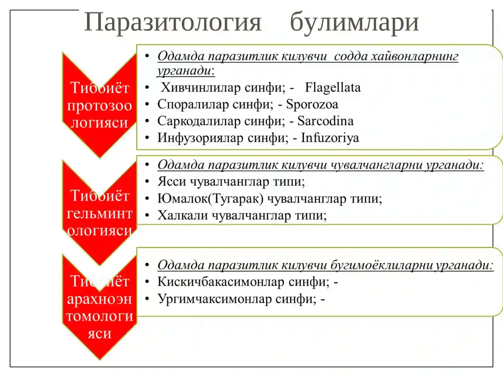 Паразитология асослари. Протозоология ва гельминтология 3