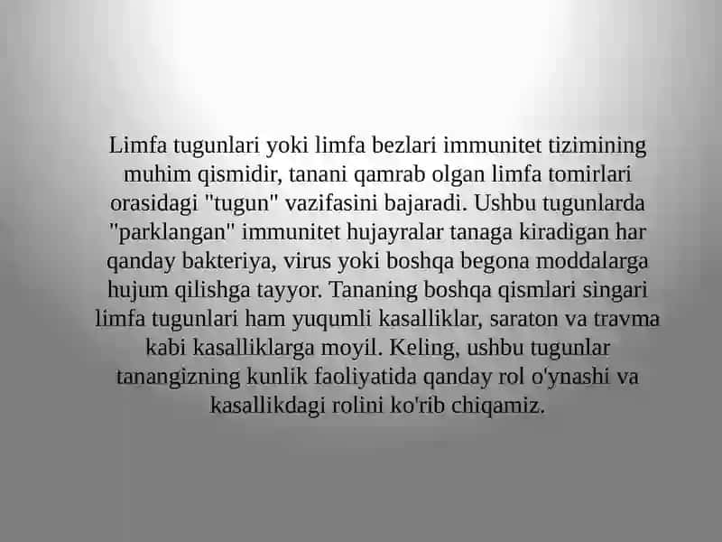 Prezentatsiyasi 3