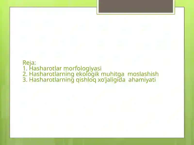 Entomologi. Hasharotlar morfologiyasi 3