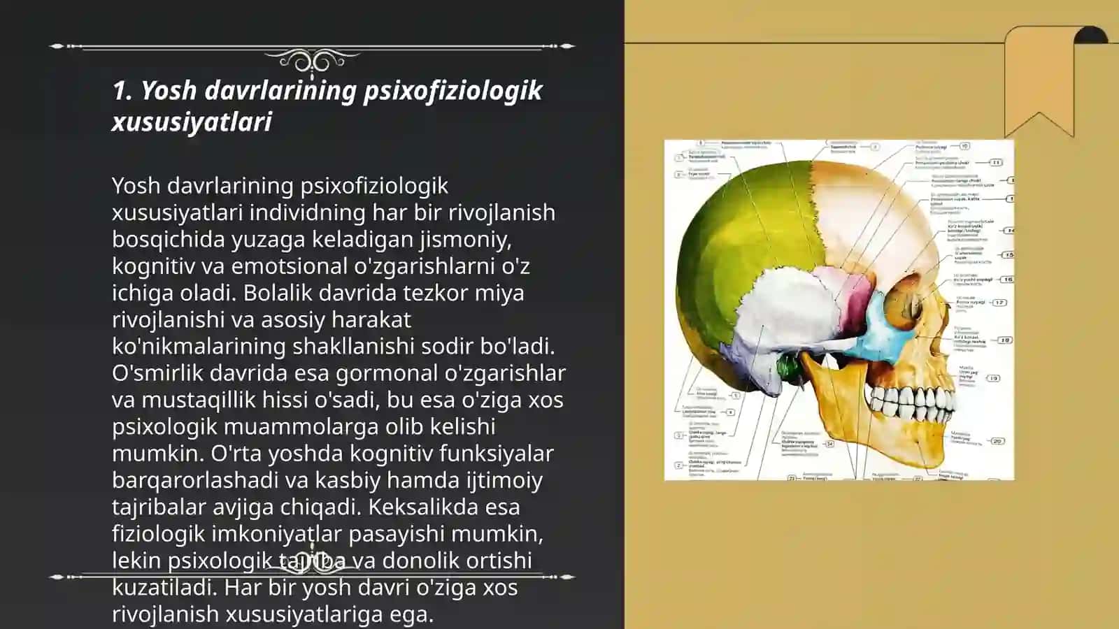 Kalla suyagining yosh va jinsga nisbatan xususiyatlari,rivojlanish nuqsonlari 3