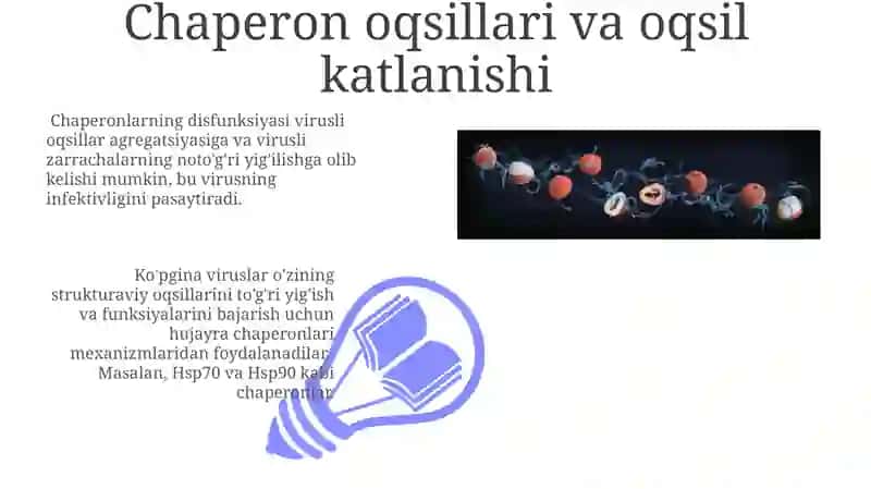 Virus oqsillari. Oqsillar lokalizatsiyasi 3