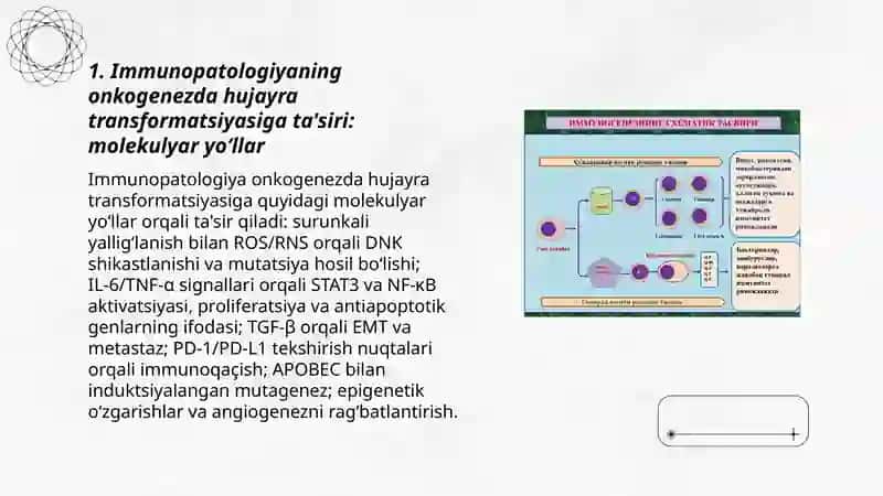 Immunopatologiya 3