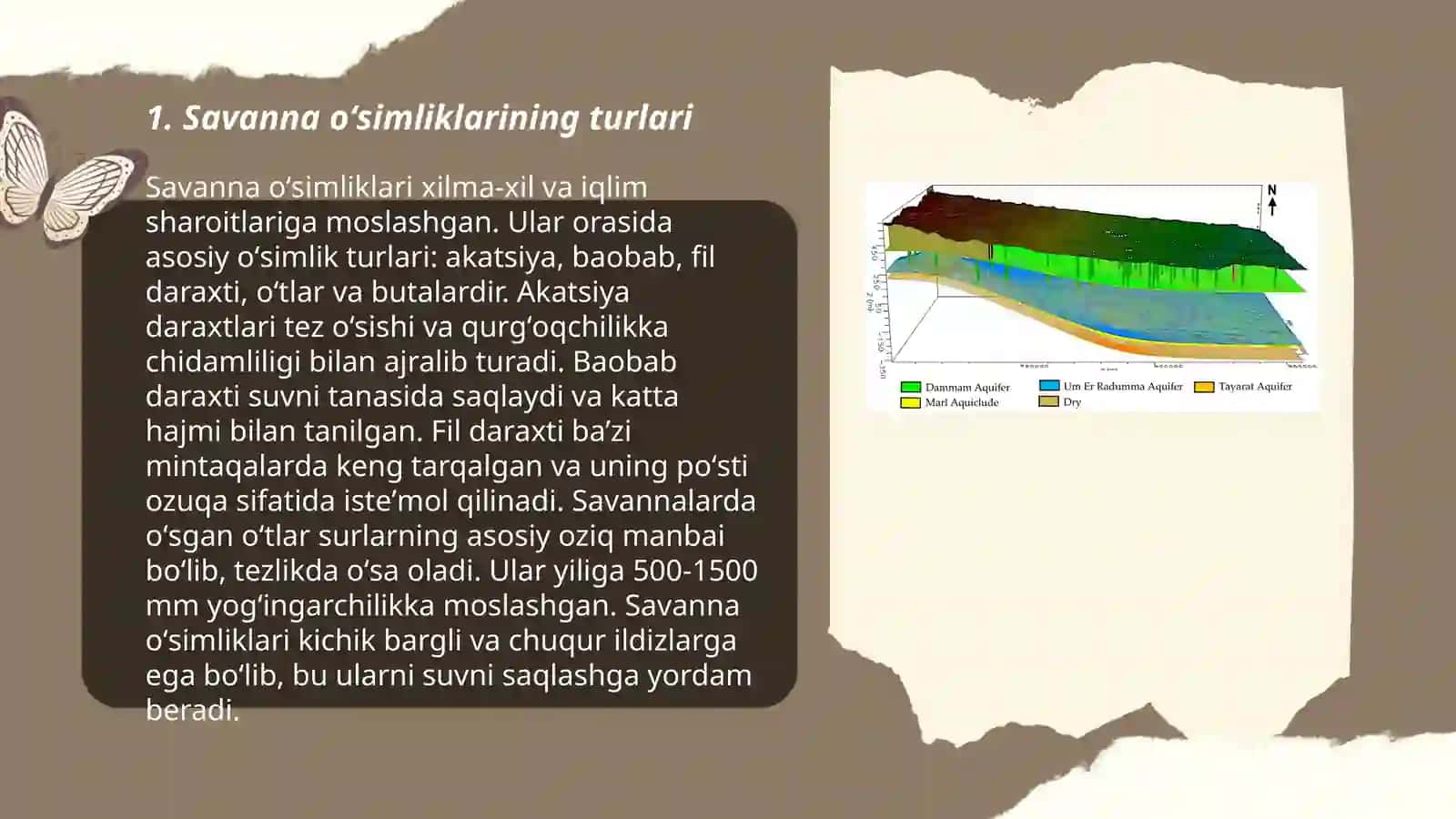 Savanna oʻsimliklari va Oshqozon va ichak va Yer osti suvlari 3