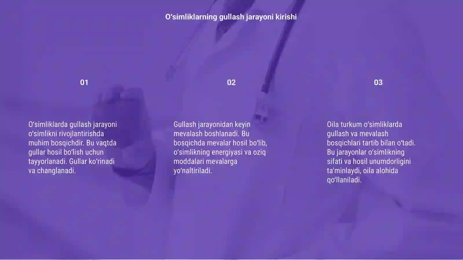 Oʻsimliklarda gullash va mevalash jarayoni (oila turkum alohida tur) 3