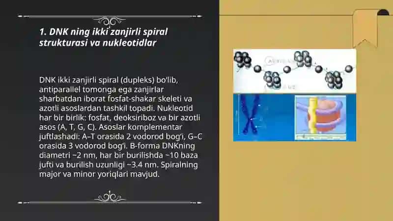 Irsiyatning molekulyar asoslari 3