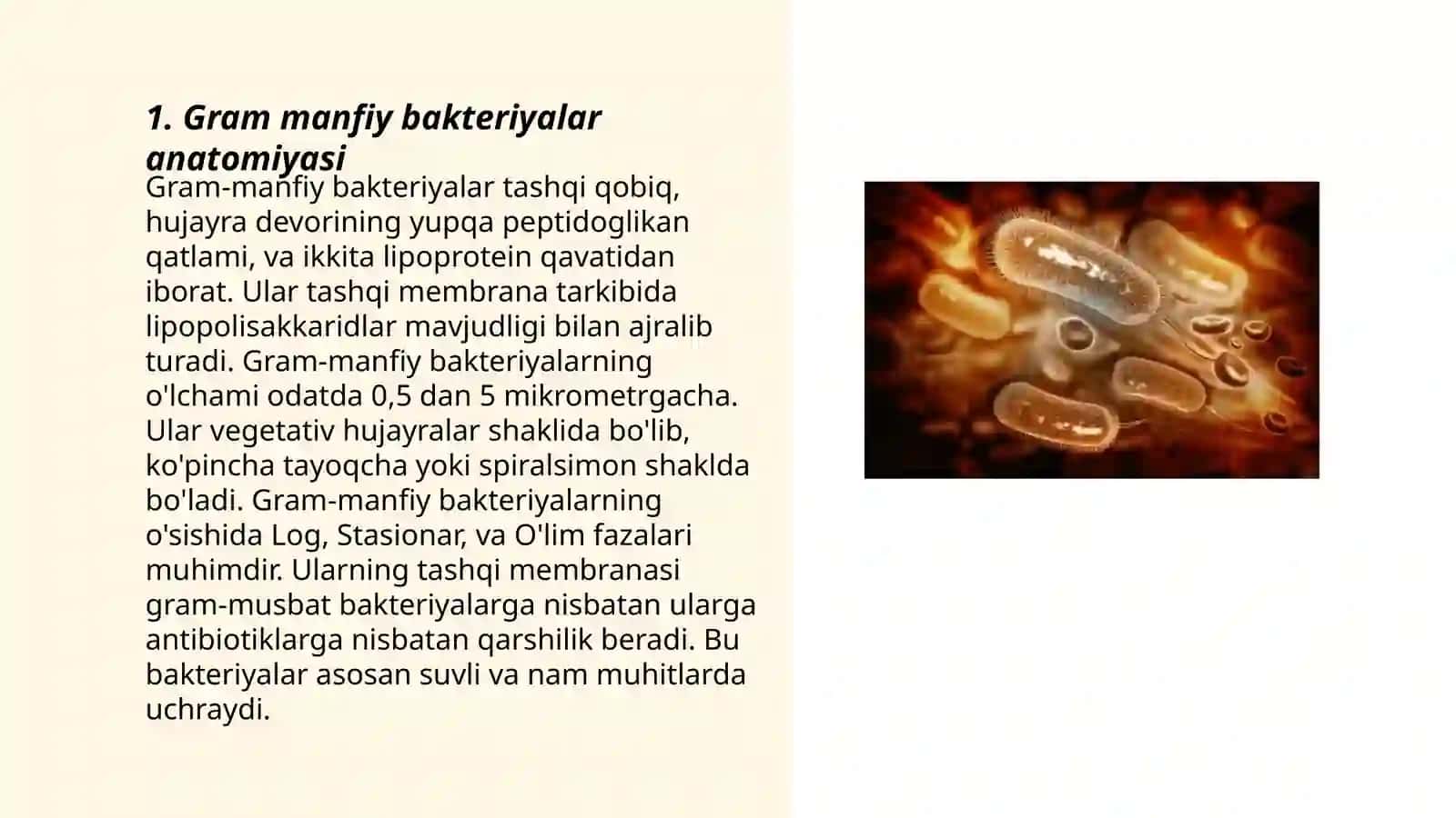 Gram manfiy bakteriyalar anatomiyasi 3