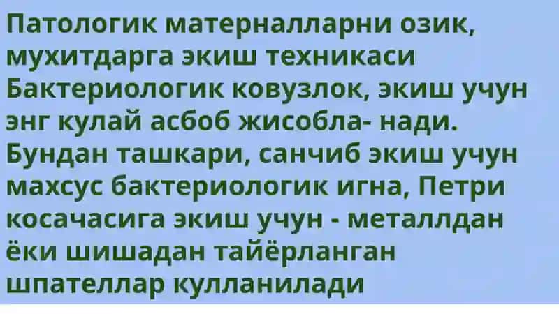Микроорганизмлар соф култураси 3