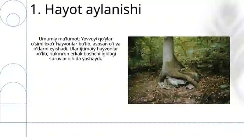 Suv qirqqulogʻi haqida umumiy malumotlar, tarqalishi va taraqiyoti 3